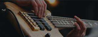 Bass Guitars