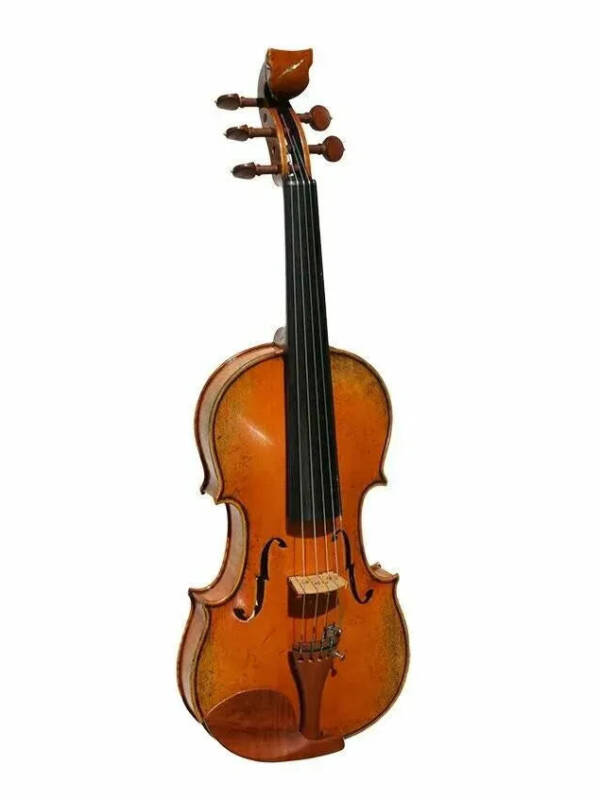 Bridge Golden Tasman 5-String Electro-Acoustic Violin