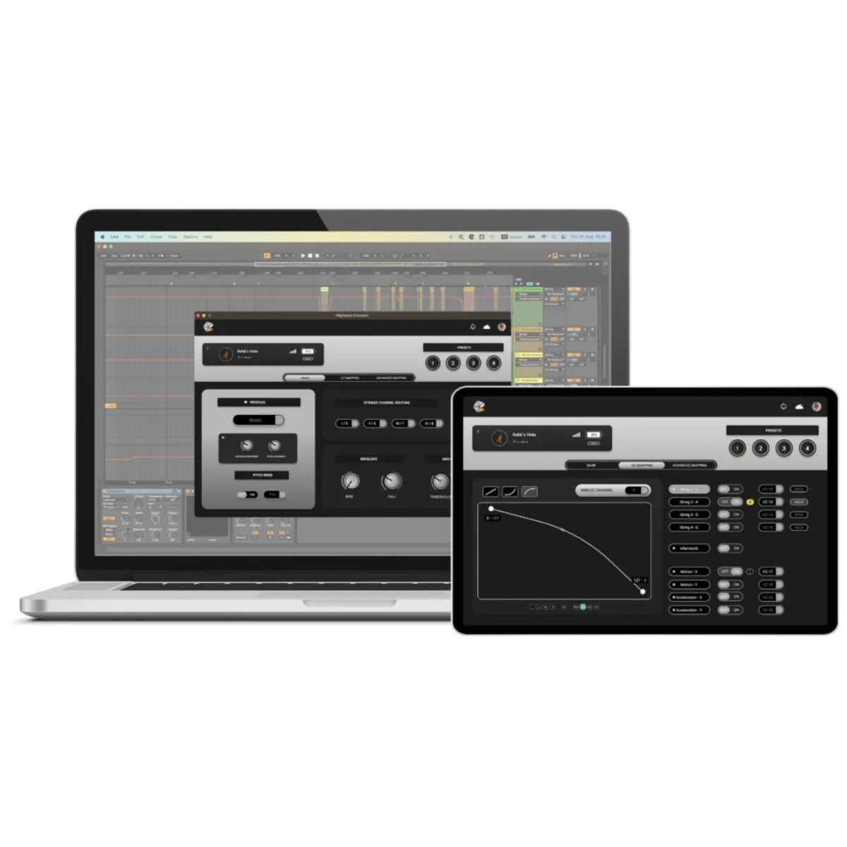 DigitAize Strings Module - Image 5