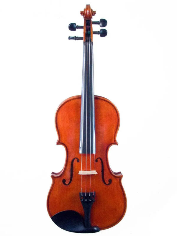 DigitAize Smart Violin