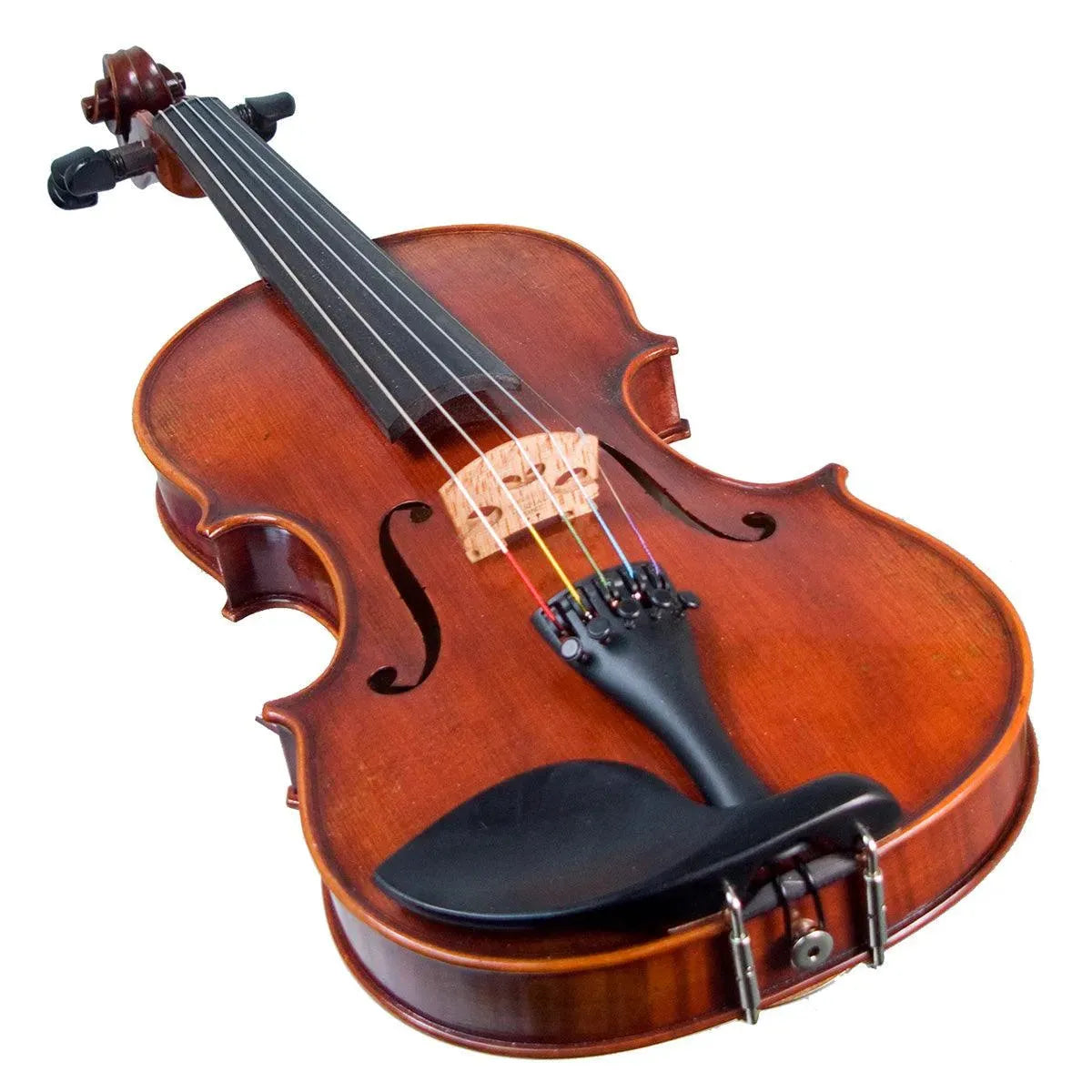 Eastman Rudoulf Doetsch 5-String Series+ VL7015+ acoustic-electric violin - Image 5