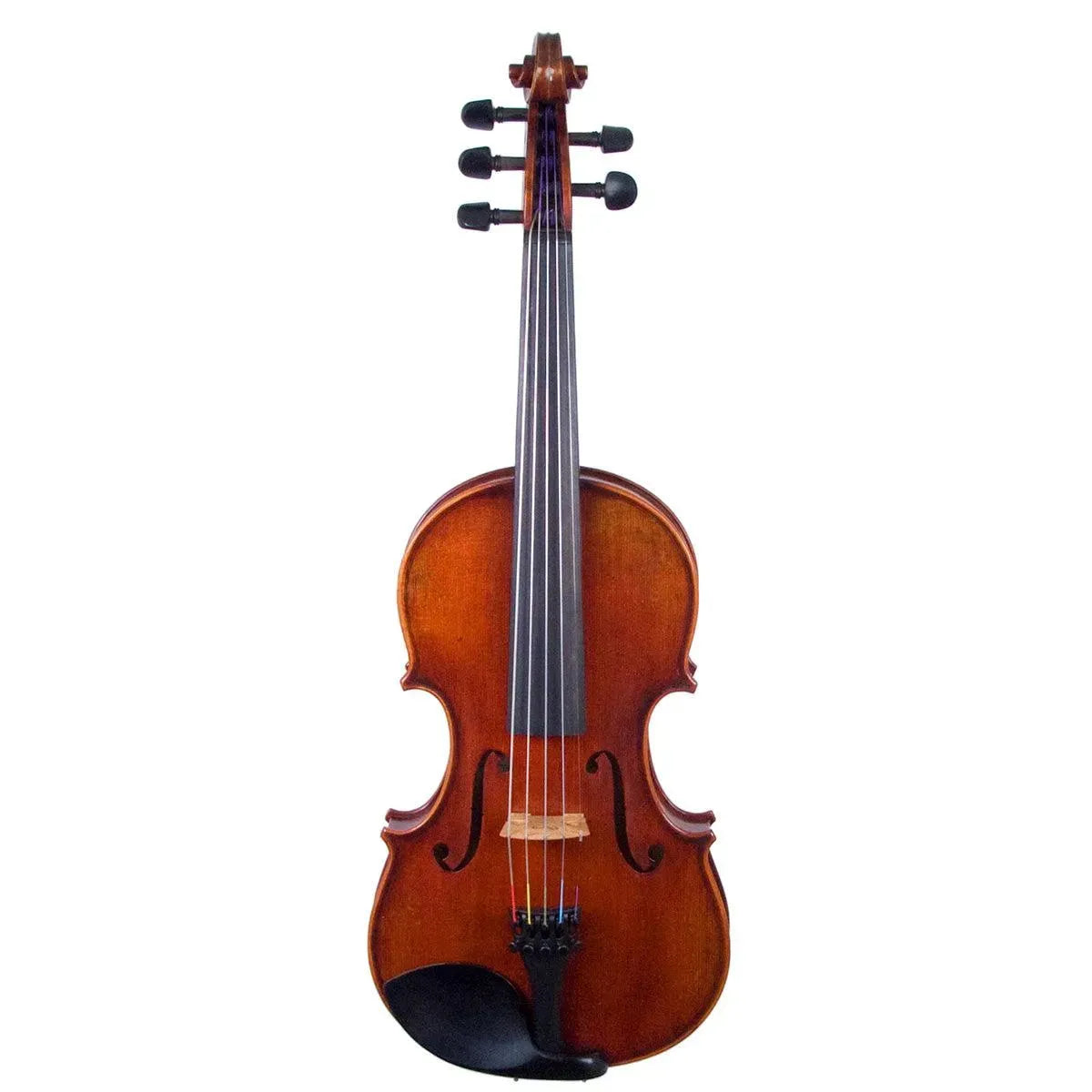 Eastman Rudoulf Doetsch 5-String Series+ VL7015+ acoustic-electric violin