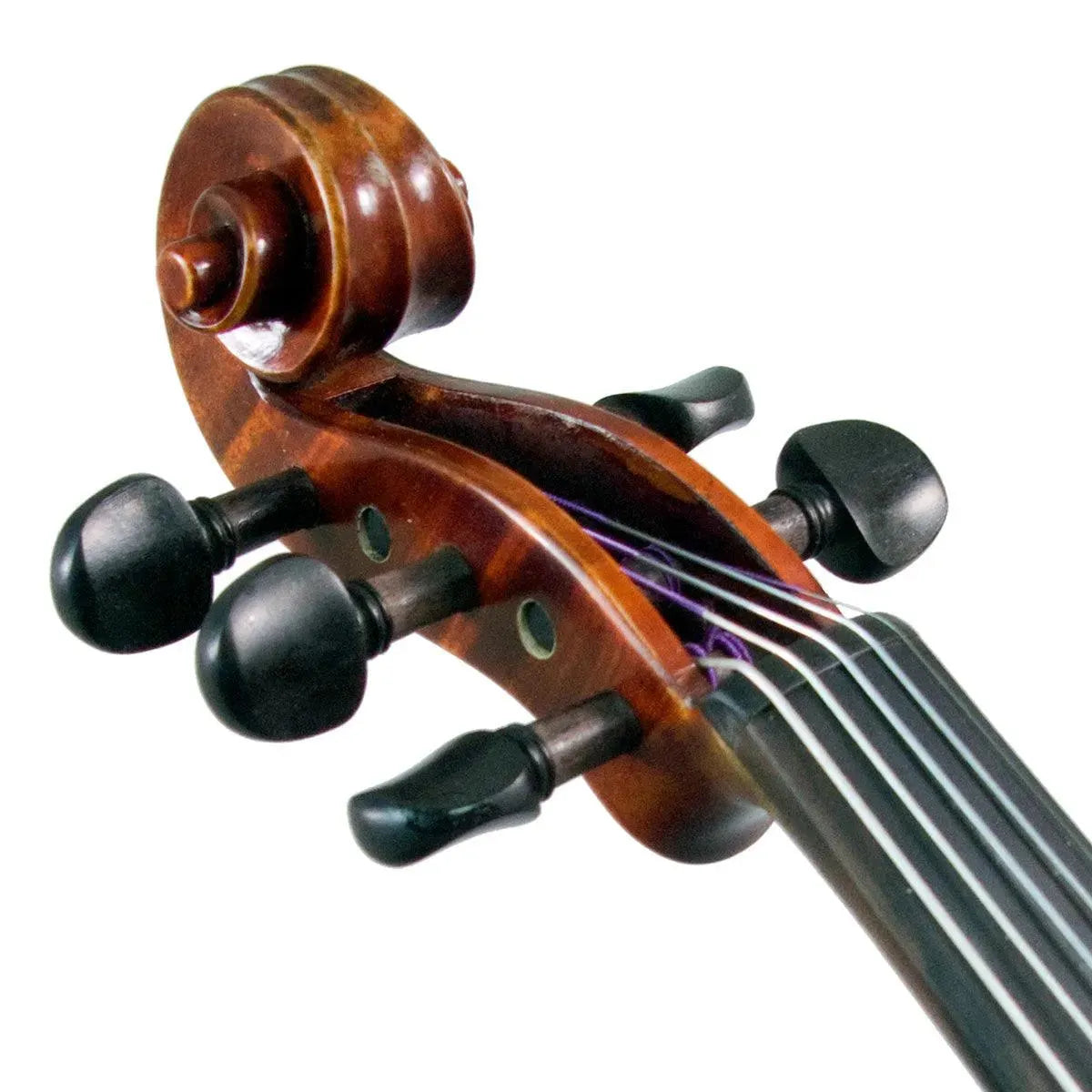 Eastman Rudoulf Doetsch 5-String Series+ VL7015+ acoustic-electric violin - Image 9