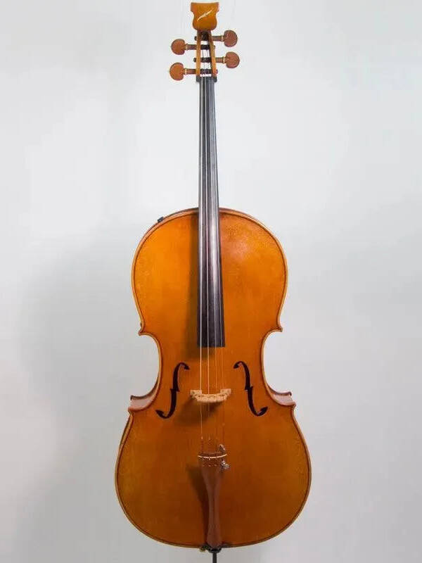 Bridge Golden Tasman Electro-Acoustic Cello