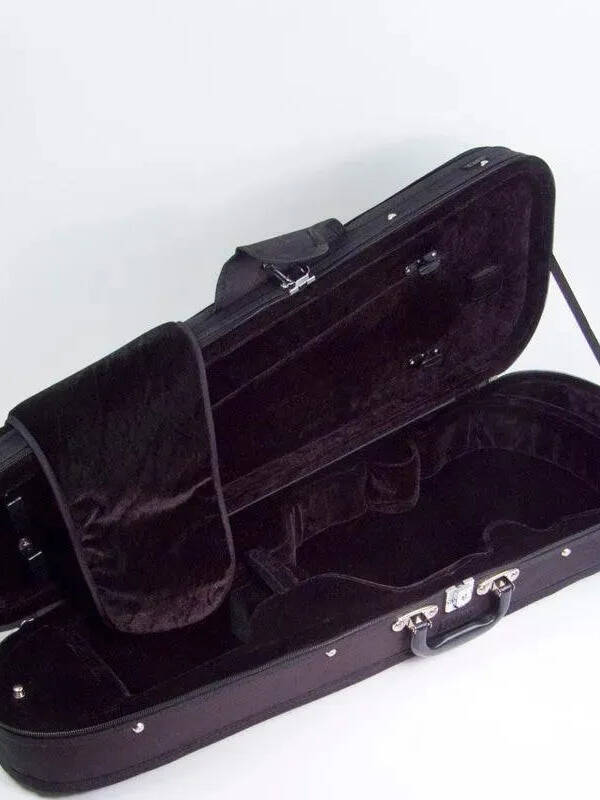 Core 399V violin case