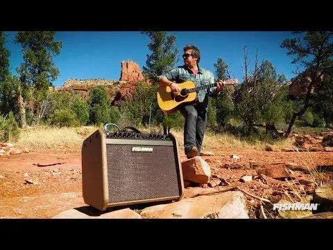 Fishman Loudbox Mini Charge (PRO-LBC-500) 60W battery powered acoustic combo amp - Image 5