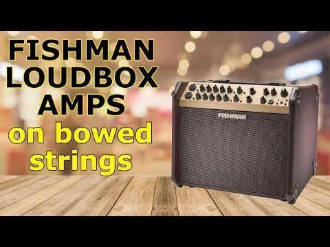 Fishman Loudbox Mini Charge (PRO-LBC-500) 60W battery powered acoustic combo amp - Image 6