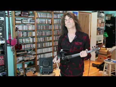 Wood Violins WVA10D 1x7 Violin Amplifier - Image 2