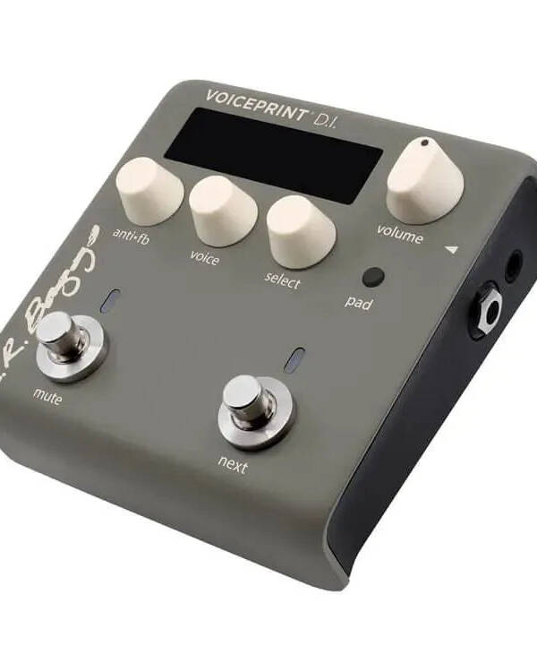 LR Baggs Voiceprint DI impulse response pedal