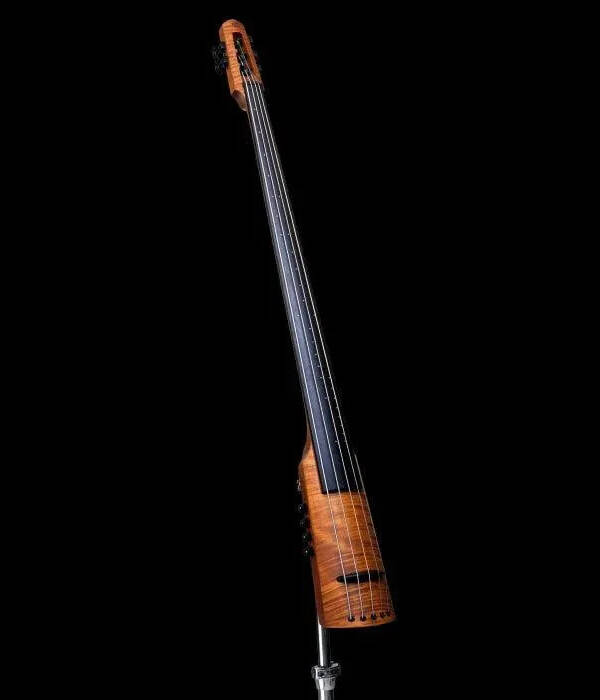 NS Design CR5 5-String Electric Upright Bass
