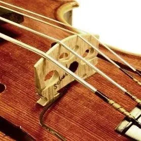 Schatten viola bridge, unterminated