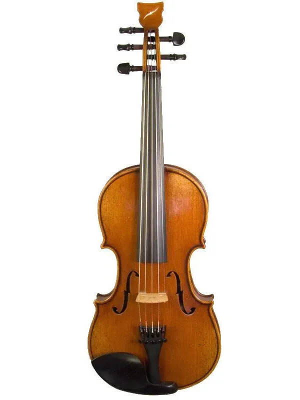 Bridge Tasman 5-String Electro-Acoustic Violin