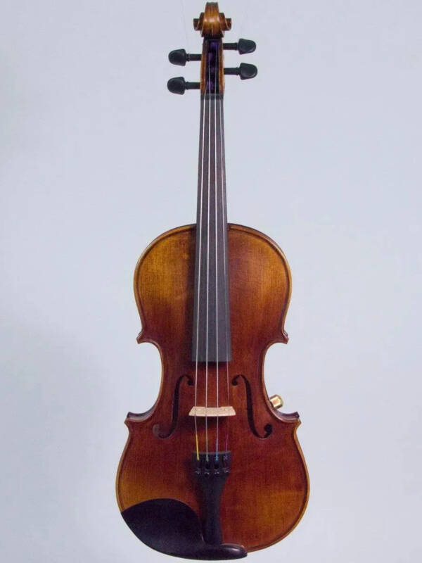 Wood Violins Concert Deluxe acoustic-electric violin