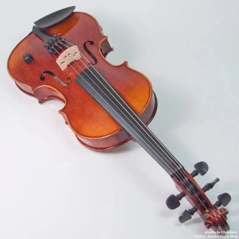 ZETA EV05 Acoustic Pro 5-string acoustic-electric violin - Image 10