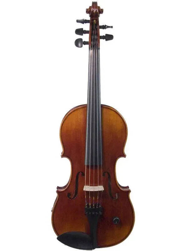 ZETA EV05 Acoustic Pro 5-string acoustic-electric violin