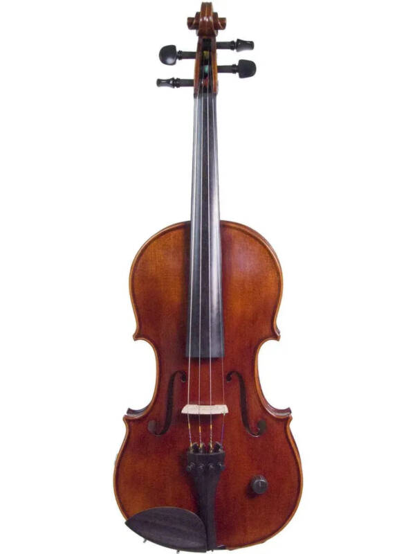 ZETA EV04 Acoustic Pro 4-string acoustic-electric violin